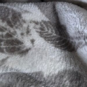 Meet your Posher, Alison